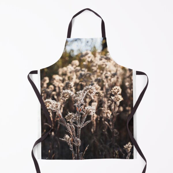 Item preview, Backlit macro photo of desert flora designed and sold by Fernanda Silva Mendoza.