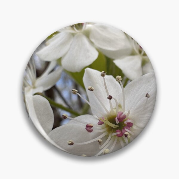 Item preview, Pear Blossom Bliss designed and sold by Birdgirlcreates.