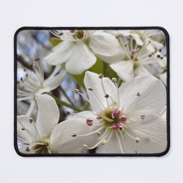 Item preview, Pear Blossom Bliss designed and sold by Birdgirlcreates.