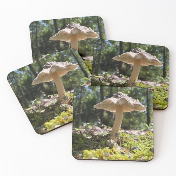 Item preview, Mushroom Magic designed and sold by Birdgirlcreates.