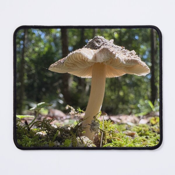 Item preview, Mushroom Magic designed and sold by Birdgirlcreates.