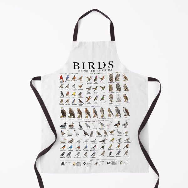 Item preview, Birds of North America Poster | Backyard Birds, Owls, Raptors & Hummingbirds Identification Chart designed and sold by PIXEL POP DESIGNS - Beyond the Norm!.
