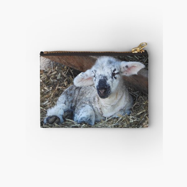Item preview, Sleepy baby lamb resting designed and sold by Lynette2025.