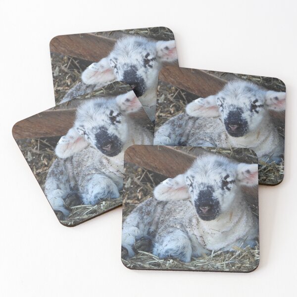 Item preview, Sleepy baby lamb resting designed and sold by Lynette2025.