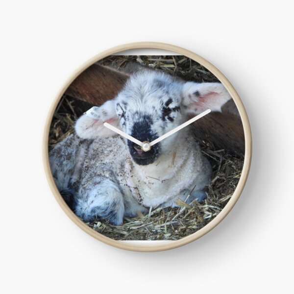 Item preview, Sleepy baby lamb resting designed and sold by Lynette2025.