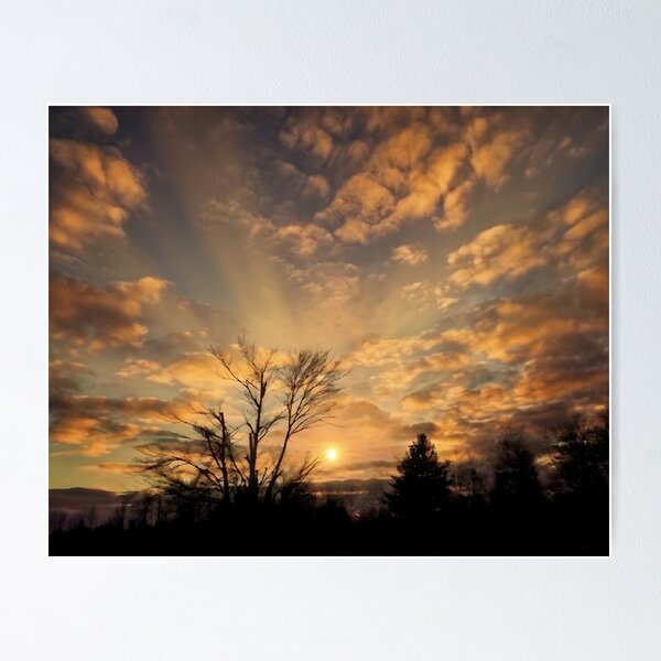 Item preview, Golden Serenity | Sunset Through the Trees Nature Photography designed and sold by EACS Photo.