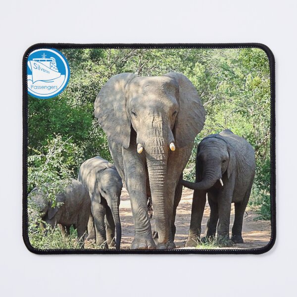 Item preview, Elephant excursion designed and sold by Silversea Passengers.