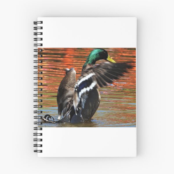 Item preview, A duck cleaning its feathers designed and sold by Lynette2025.