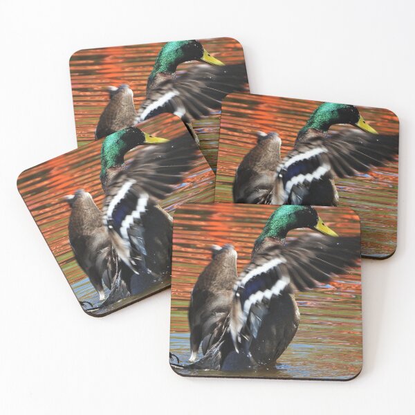 Item preview, A duck cleaning its feathers designed and sold by Lynette2025.