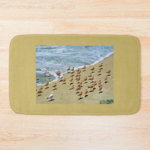 Item preview, Birds on the Beach designed and sold by Anthony Macaluso.