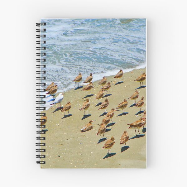 Item preview, Birds on the Beach designed and sold by Anthony Macaluso.