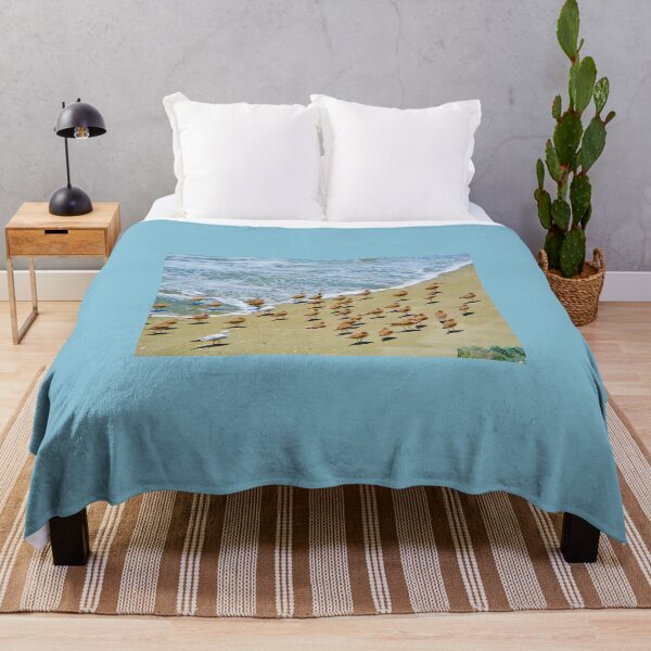 Item preview, Birds on the Beach designed and sold by Anthony Macaluso.