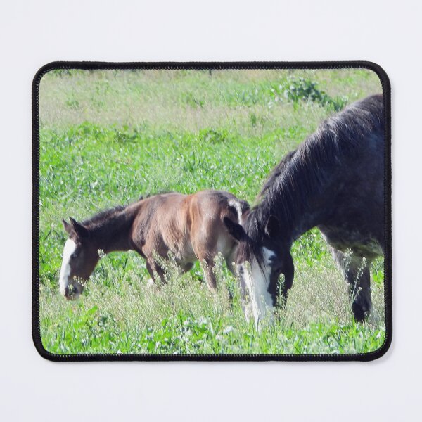 Item preview, A mare and her foal grazing designed and sold by Lynette2025.