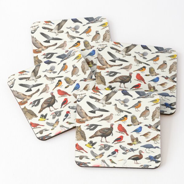 Item preview, Native Birds of Arkansas Retro Style Identification Chart designed and sold by kakarikihill.