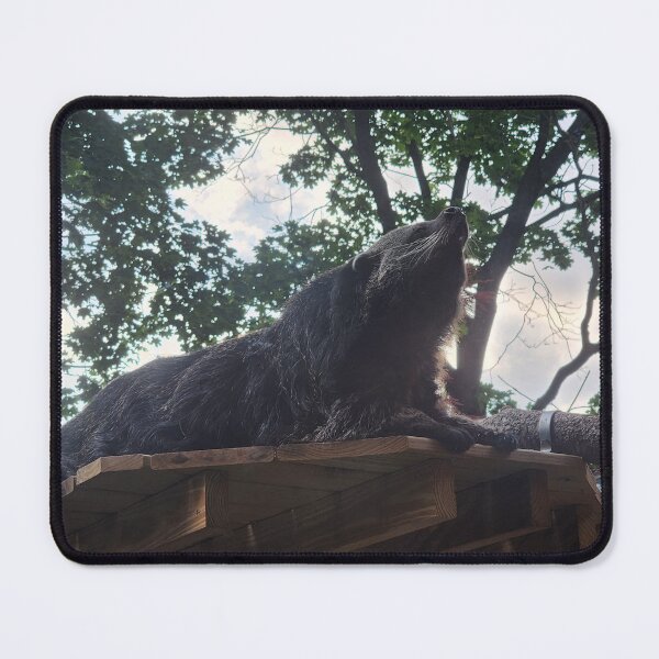 Item preview, Binturong designed and sold by GraceT26.