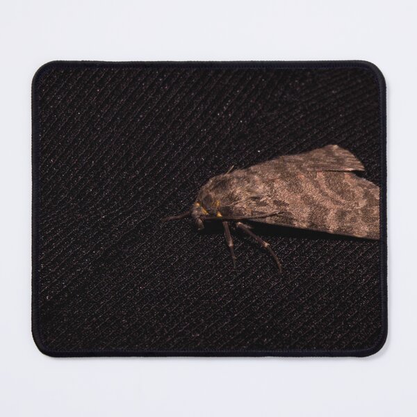 Item preview, sphinx moth or hawk moth designed and sold by ROSE ANN BANILAR.