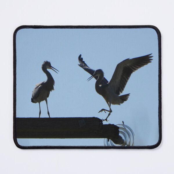 Item preview, Blue Herons playing on a telephone pole designed and sold by Lynette2025.