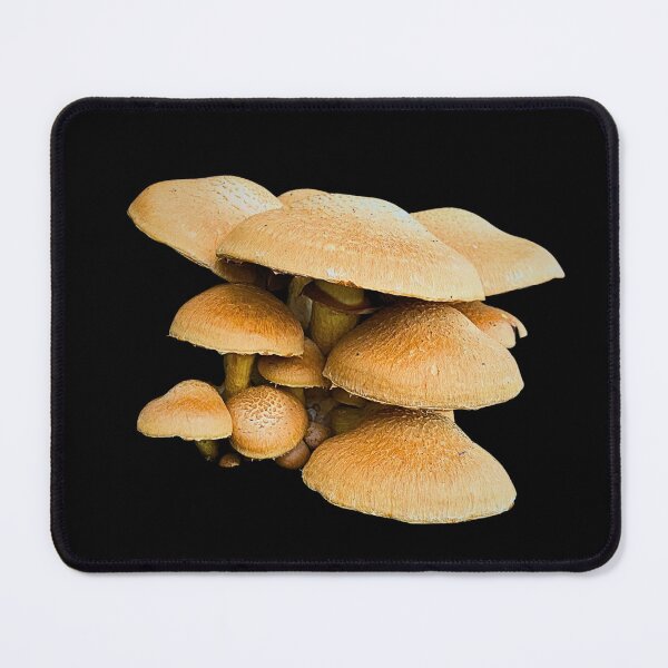 Item preview, Fungi cluster designed and sold by CritterCapers.