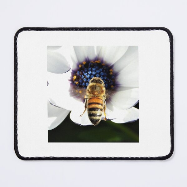 Item preview, A bee about to land on a flower designed and sold by Lynette2025.