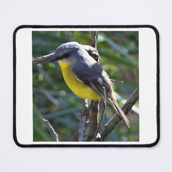 Item preview, A pretty Eastern Yellow Robin designed and sold by Lynette2025.