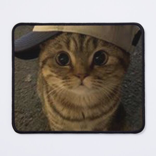 Item preview, With Hat Cat Look So Cute designed and sold by YUN-Jr.