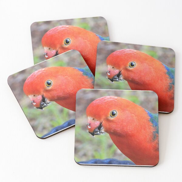 Item preview, A friendly King Parrot visits designed and sold by Lynette2025.