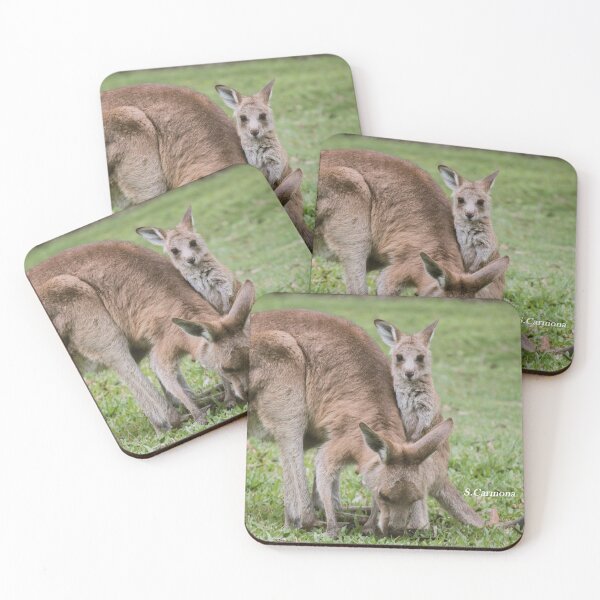 Item preview, Mother and Baby Kangaroo 2 - Australian Wildlife Photo (Set) designed and sold by AuraInkSC.