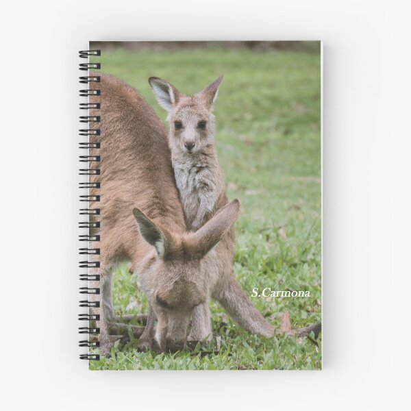 Item preview, Mother and Baby Kangaroo 2 - Australian Wildlife Photo (Set) designed and sold by AuraInkSC.