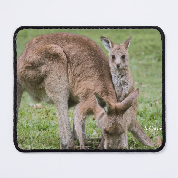 Item preview, Mother and Baby Kangaroo 2 - Australian Wildlife Photo (Set) designed and sold by AuraInkSC.