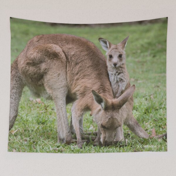 Item preview, Mother and Baby Kangaroo 2 - Australian Wildlife Photo (Set) designed and sold by AuraInkSC.