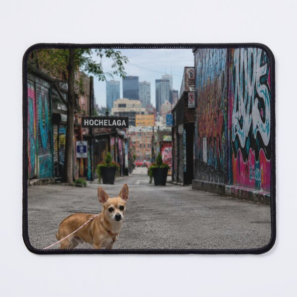 Item preview, A small chihuahua in the alleys of Hochelaga in Montreal designed and sold by Animal Passion Designs.