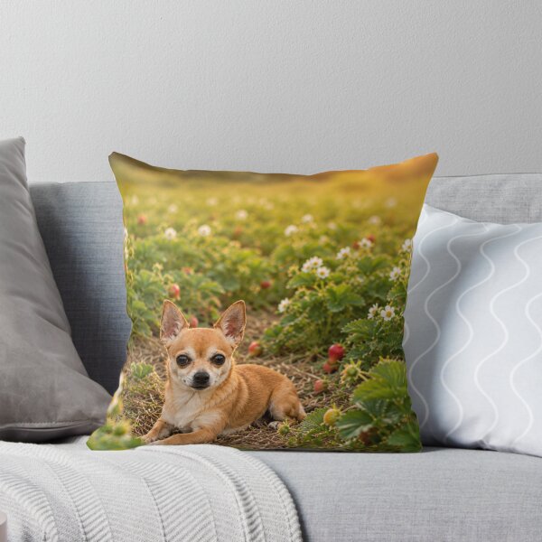Item preview, A small chihuahua rests in a strawberry field. designed and sold by Animal Passion Designs.