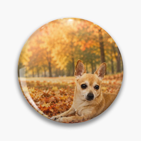 Item preview, Chihuahua in the autumn leaves designed and sold by Animal Passion Designs.
