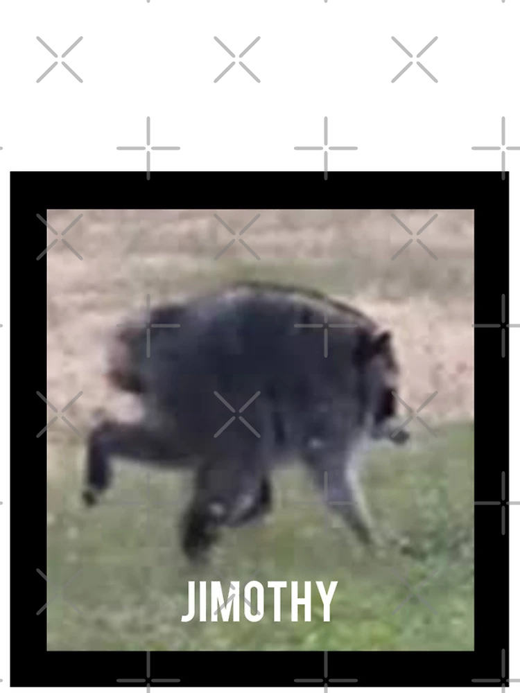 Thumbnail 4 of 4, iPhone Case, Jimothy Raccoon designed and sold by Pattern Unhinged.