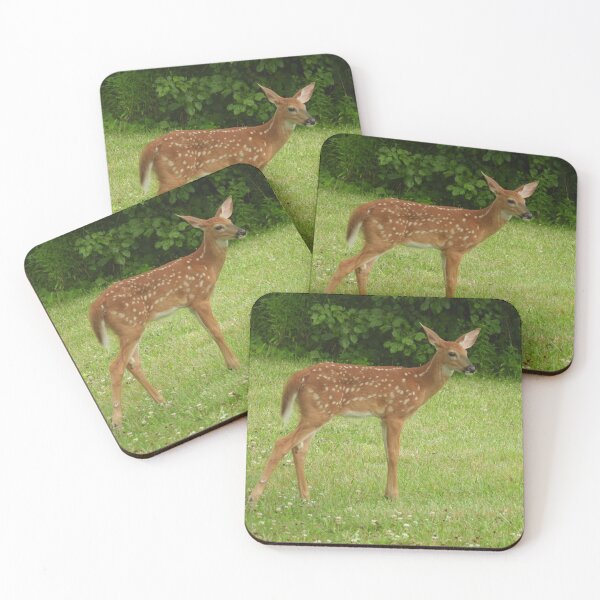 Item preview, Deer Fawn designed and sold by AmyBsPics.