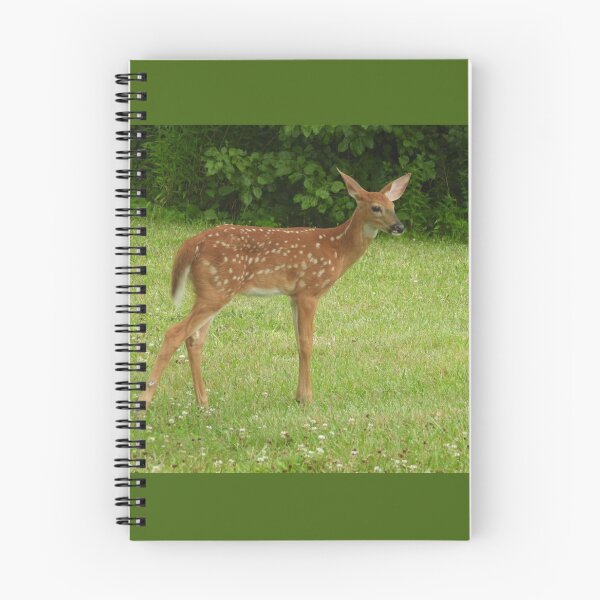 Item preview, Deer Fawn designed and sold by AmyBsPics.