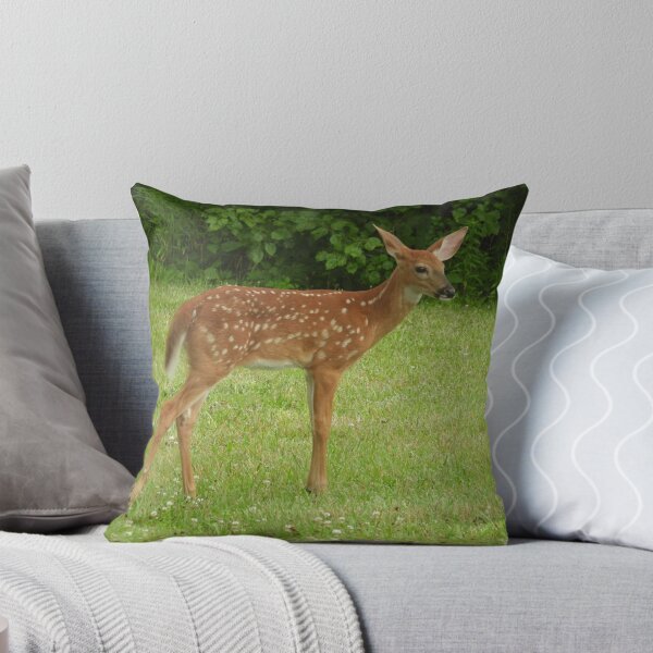 Item preview, Deer Fawn designed and sold by AmyBsPics.