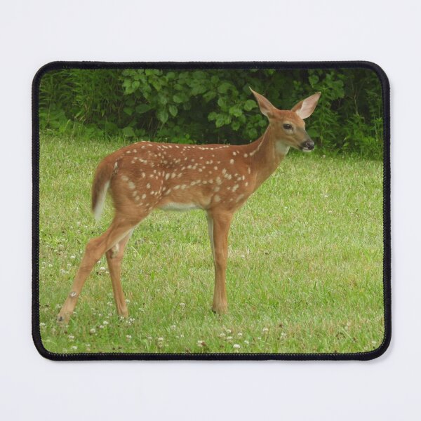 Item preview, Deer Fawn designed and sold by AmyBsPics.