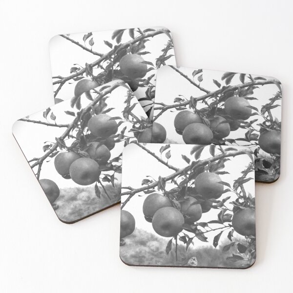 Item preview, Monochrome Apple Orchard Black and White Photography designed and sold by HaedamArt.
