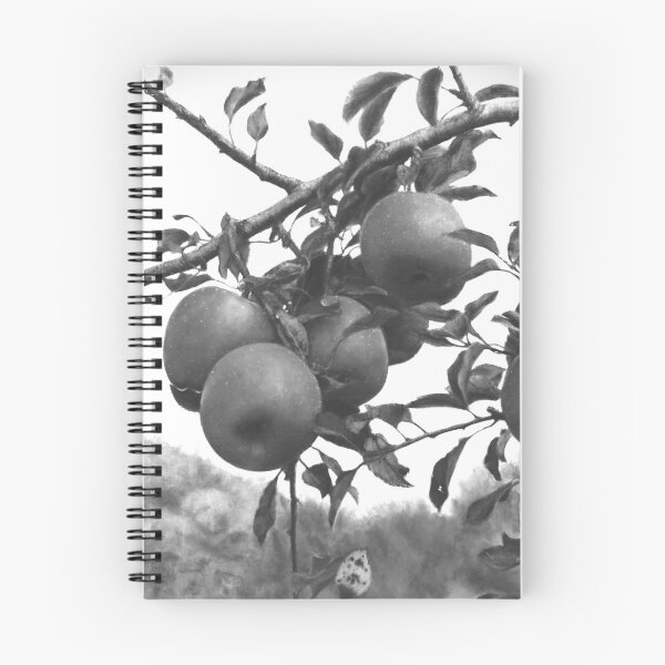 Item preview, Monochrome Apple Orchard Black and White Photography designed and sold by HaedamArt.