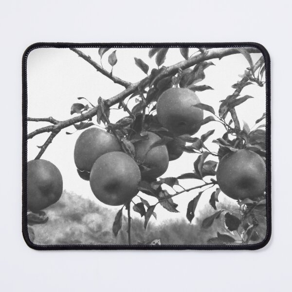 Item preview, Monochrome Apple Orchard Black and White Photography designed and sold by HaedamArt.