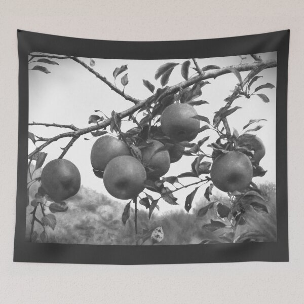 Item preview, Monochrome Apple Orchard Black and White Photography designed and sold by HaedamArt.