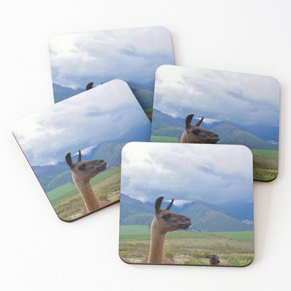 Item preview, Curious Llamas in Peru's Sacred Valley designed and sold by olivia-wilbur.