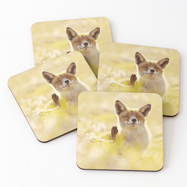 Item preview, Hello Fox Wildlife Animal Lover designed and sold by Lev4nteHimas.