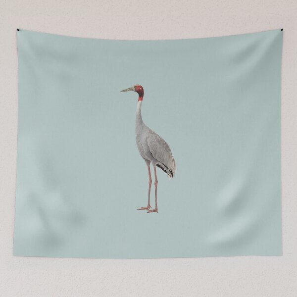 Item preview, Sarus Crane Standing designed and sold by ArunDandiboina.