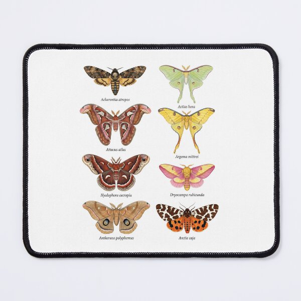 Item preview, Exotic Moth Species designed and sold by ArunDandiboina.