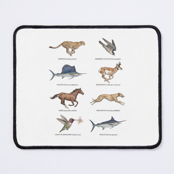 Item preview, Fastest Animals designed and sold by ArunDandiboina.