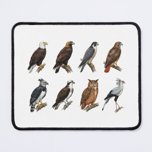 Item preview,  Birds of Prey designed and sold by ArunDandiboina.