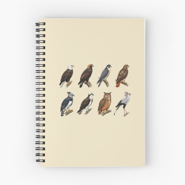 Item preview,  Birds of Prey designed and sold by ArunDandiboina.