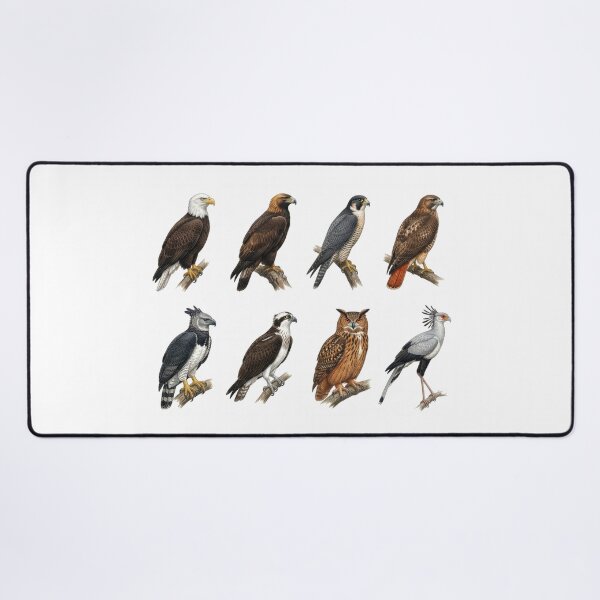 Item preview,  Birds of Prey designed and sold by ArunDandiboina.